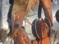 -大锅强·蒸海鲜青岛菜(金沙滩店)