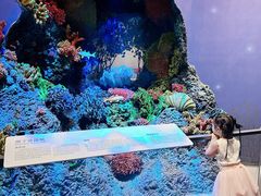 -中国湿地博物馆