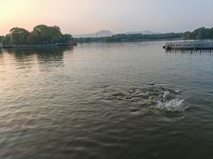 -石家庄市植物园