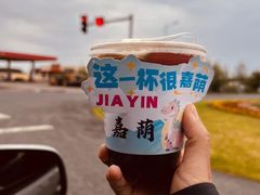 -嘉荫恐龙国家地质公园