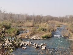 -淇河国家湿地公园