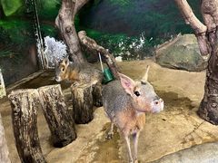 -正佳雨林生态植物园