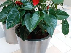 -鹏欣水游城