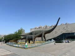 -安徽省地质博物馆