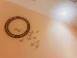 -蕾蕾美颜美容美体