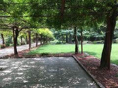 -嘉定紫藤园