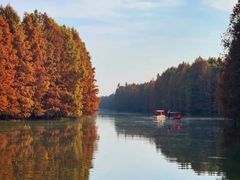 -上海海湾国家森林公园