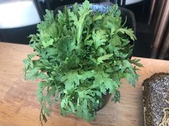 茼蒿-新草堂锅物料理(泉城路店)