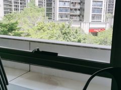 -百年果林椰子鸡(中洲店)
