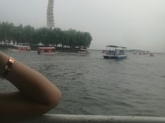 -白洋淀景区