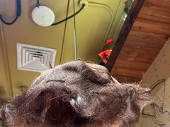 -泥糊破店小酒馆·团建聚餐(南京西路店)