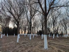 -永定河休闲森林公园