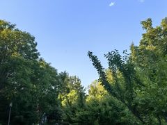 -大兴滨河森林公园