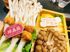 -廖掌柜·重庆鲜货火锅(上海首店)