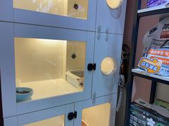 -车接车送·寄养洗护·德文猫舍(大宁店)