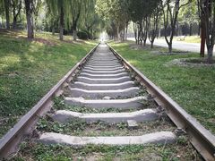 -永定河休闲森林公园