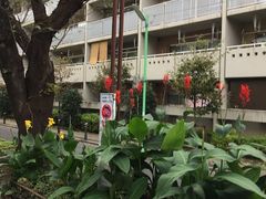 -维乐口腔医院(福清院)