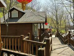 -云岭野山参风景区