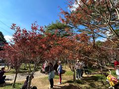 -广州市帽峰山景区
