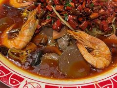 -邵年鸽(杨庄店)