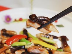 鸡枞菌爆爽肉-馋遇江南·精致湖景雅宴(东方之门店)