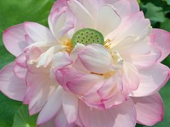 -南戴河国际娱乐中心