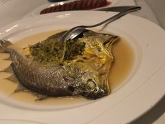雪菜蒸东海大黄鱼-宝燕海鲜(好爱店)