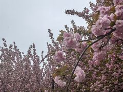 -唐城墙遗址公园