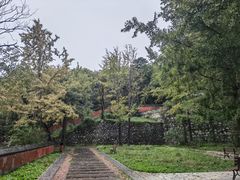 -阳台山自然风景区