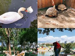 -水上乐园·欢乐世界