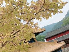 -普陀山风景名胜区-法雨禅寺