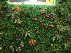 -莱茵体育生活馆