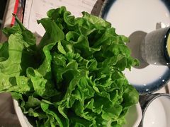 -同仁四季椰子鸡(福田东园总店)