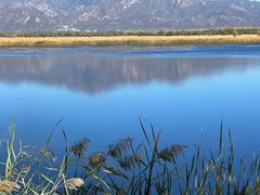 -野鸭湖国家湿地公园