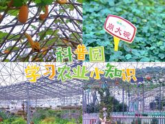-盈香心动乐园