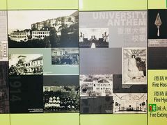 -香港大学