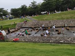 -光明小镇欢乐田园