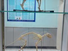 -酷宠动物医院(天通西苑店)