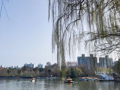 -大宁公园