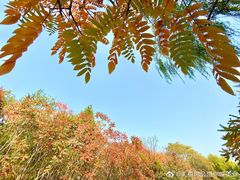 -府君山公园