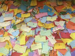 -志龙皇冠吃货椰子铺