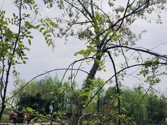 -洋湖国家湿地公园