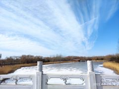 -大兴滨河森林公园