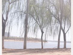-东郊湿地公园