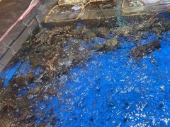 -徐记海鲜·宴会(大唐西市|丰庆店)