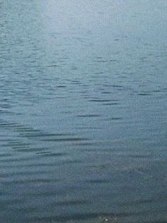 -贵阳市花溪国家城市湿地公园