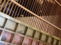 大碗先生(解放街店)-大碗先生家常湘菜(解放街店)