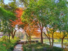 -西溪国家湿地公园