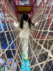 -玩元素·家庭游乐成长中心(香格里拉店)