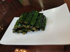 -丁老爷子苏香圆